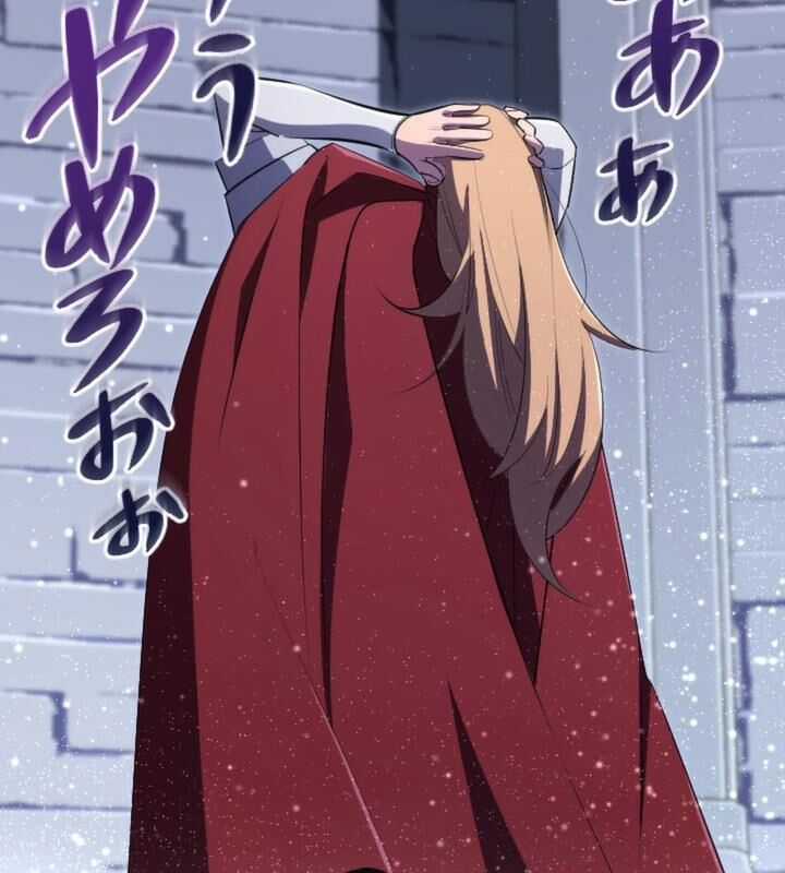 Vô Song Cùng Với Vũ Khí Ẩn Chapter 21 trang 25