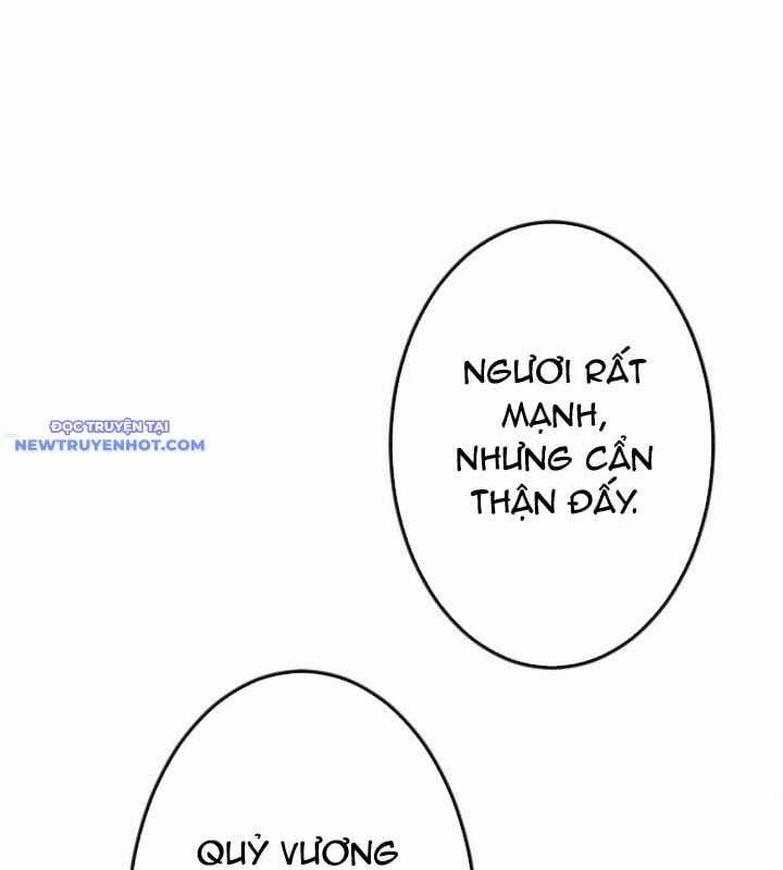 Vô Song Cùng Với Vũ Khí Ẩn Chapter 22 trang 11