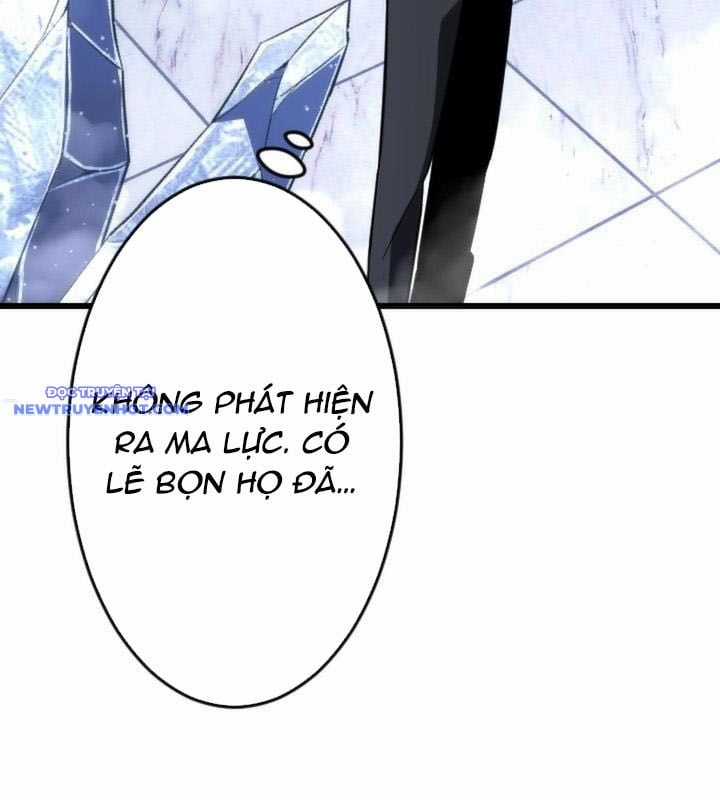 Vô Song Cùng Với Vũ Khí Ẩn Chapter 24 trang 11