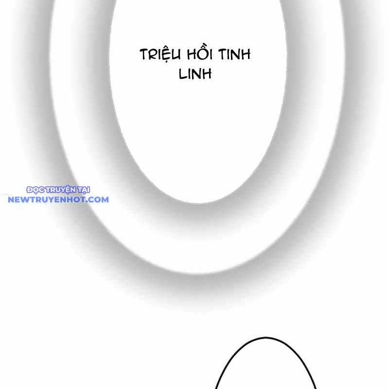 Vô Song Cùng Với Vũ Khí Ẩn Chapter 25 trang 30