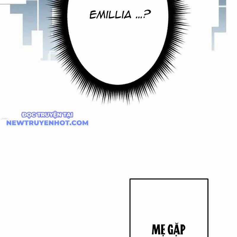 Vô Song Cùng Với Vũ Khí Ẩn Chapter 28 trang 147