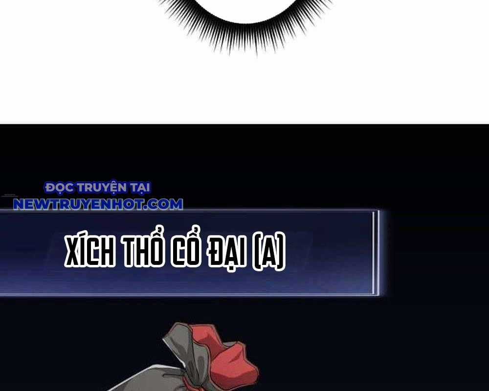 Vô Song Cùng Với Vũ Khí Ẩn Chapter 29 trang 222