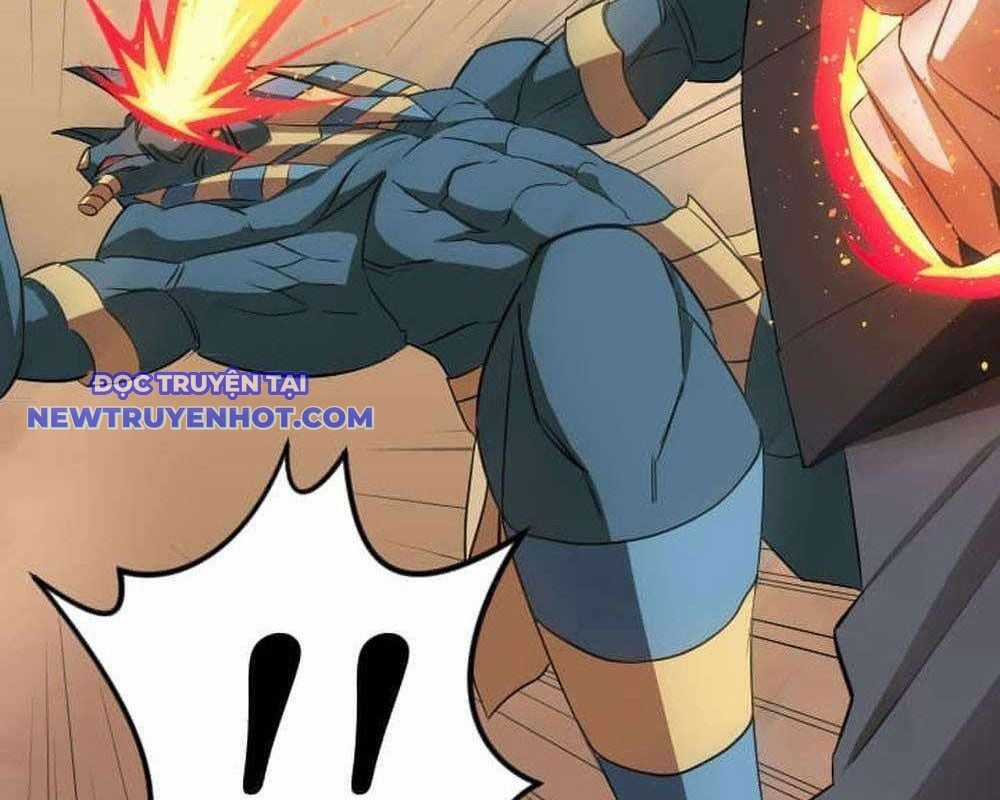 Vô Song Cùng Với Vũ Khí Ẩn Chapter 29 trang 9