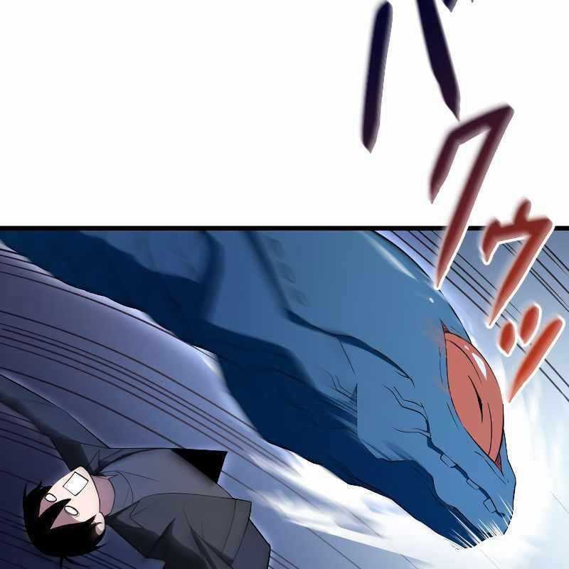 Vô Song Cùng Với Vũ Khí Ẩn Chapter 3 trang 101