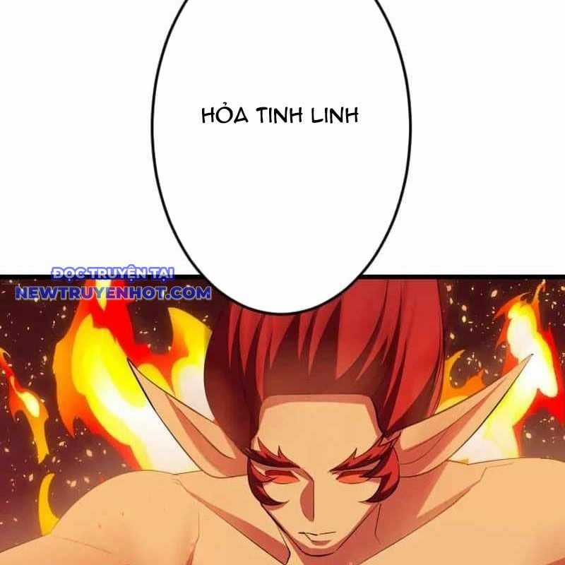 Vô Song Cùng Với Vũ Khí Ẩn Chapter 32 trang 11