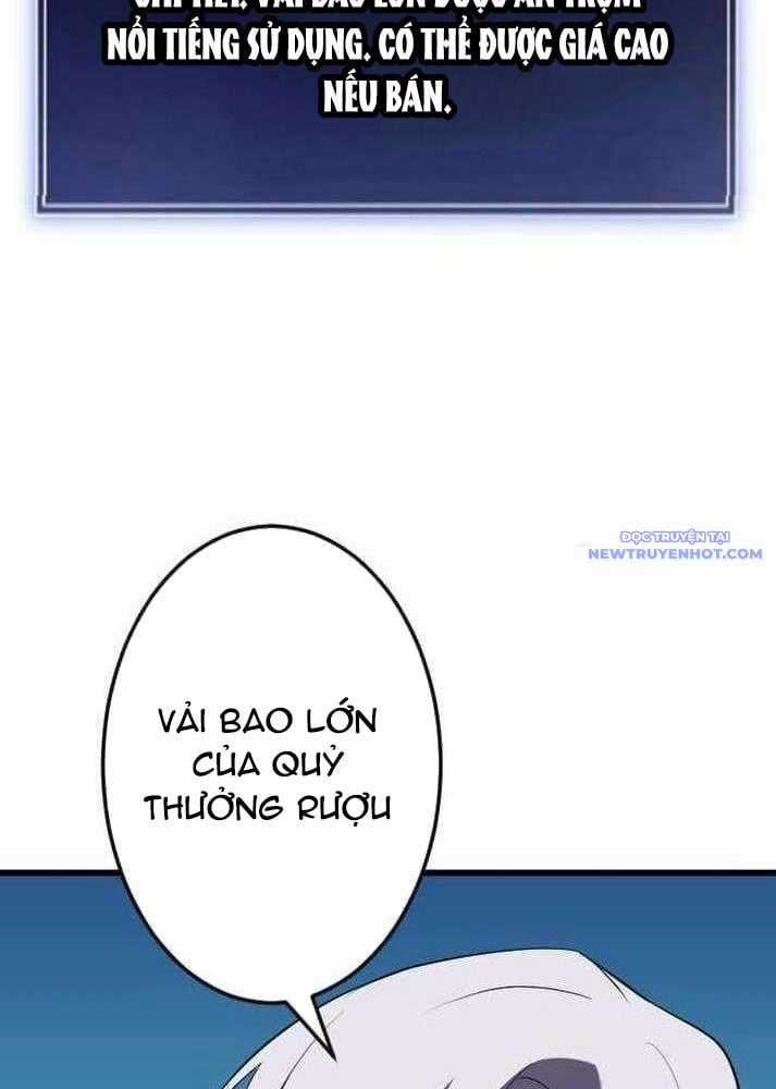 Vô Song Cùng Với Vũ Khí Ẩn Chapter 37 trang 13