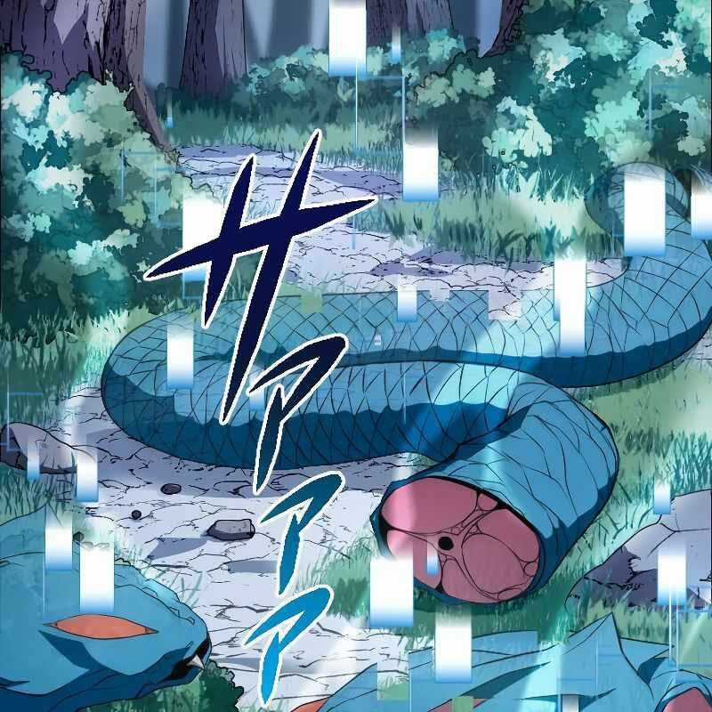 Vô Song Cùng Với Vũ Khí Ẩn Chapter 4 trang 17