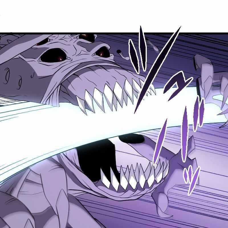 Vô Song Cùng Với Vũ Khí Ẩn Chapter 4 trang 35