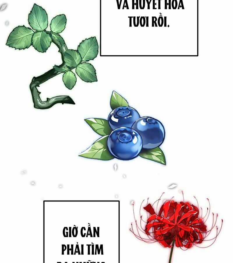 Vô Song Cùng Với Vũ Khí Ẩn Chapter 5 trang 28