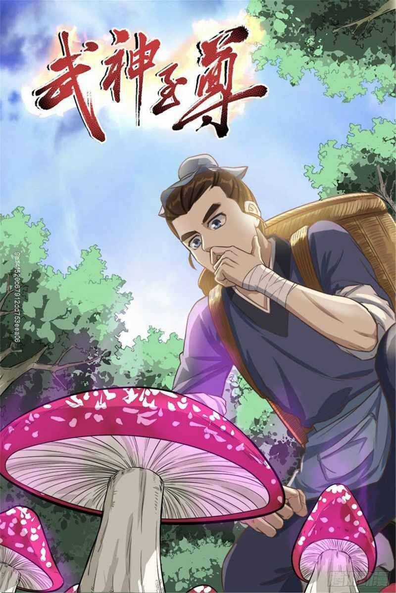 Võ Thần Chí Tôn Chapter 16 trang 2