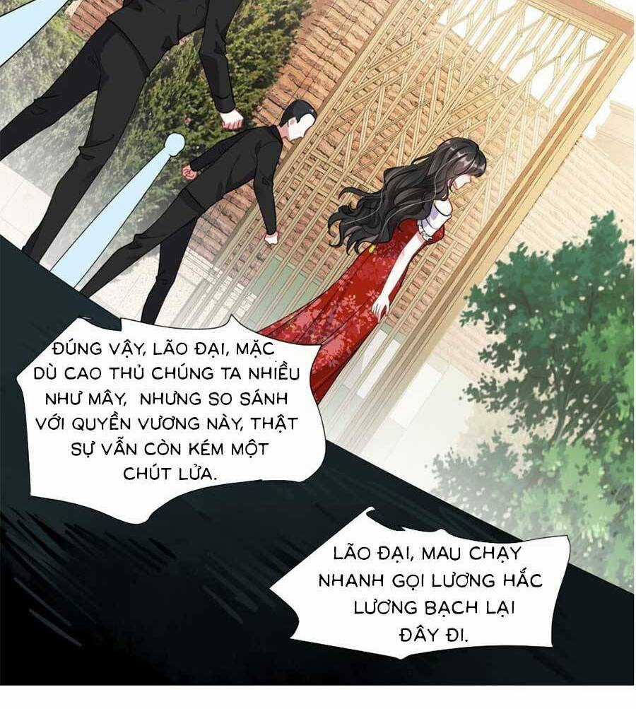 Vợ Tôi Là Boss Ngầm Đầy Quyền Lực Chapter 11 trang 10