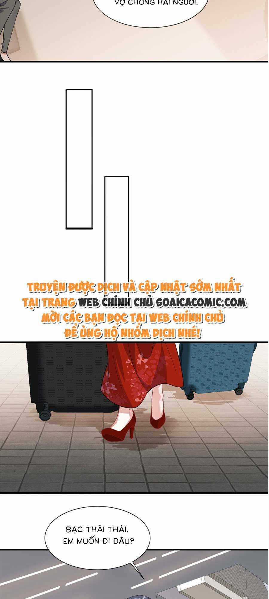 Vợ Tôi Là Boss Ngầm Đầy Quyền Lực Chapter 11 trang 2