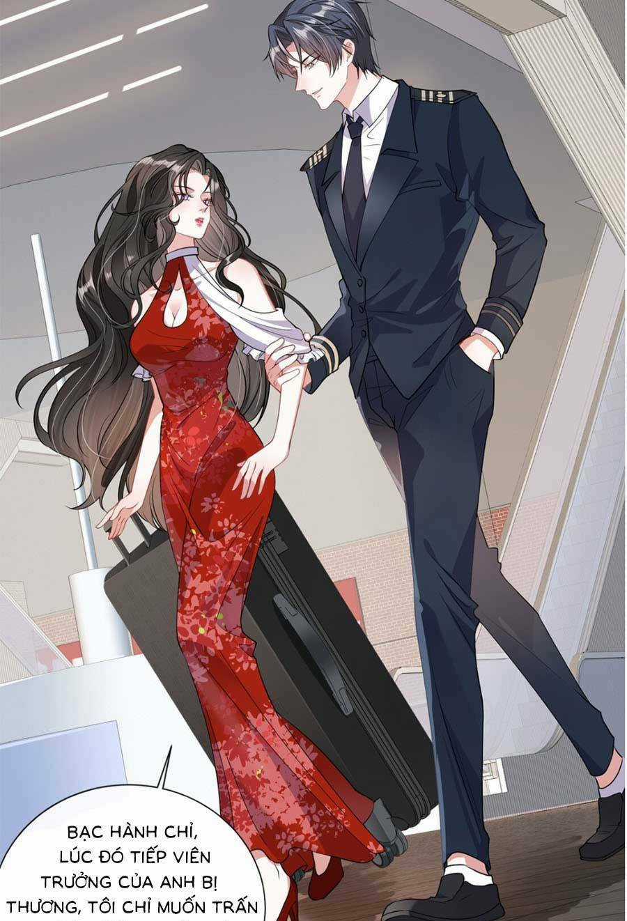 Vợ Tôi Là Boss Ngầm Đầy Quyền Lực Chapter 11 trang 3