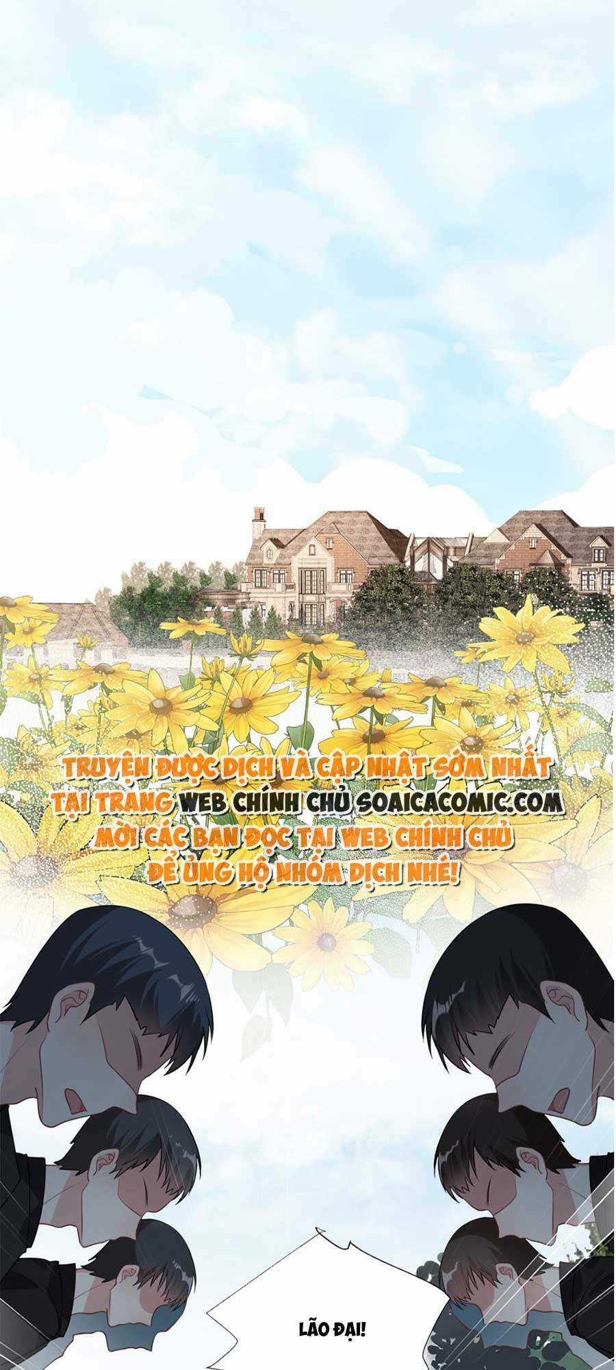 Vợ Tôi Là Boss Ngầm Đầy Quyền Lực Chapter 11 trang 7