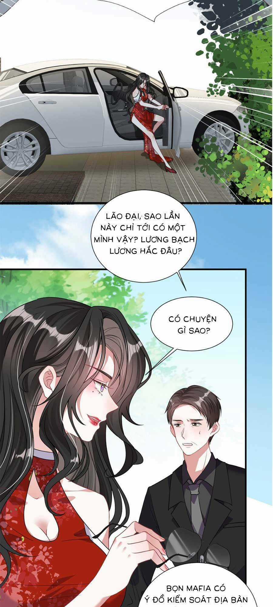 Vợ Tôi Là Boss Ngầm Đầy Quyền Lực Chapter 11 trang 8