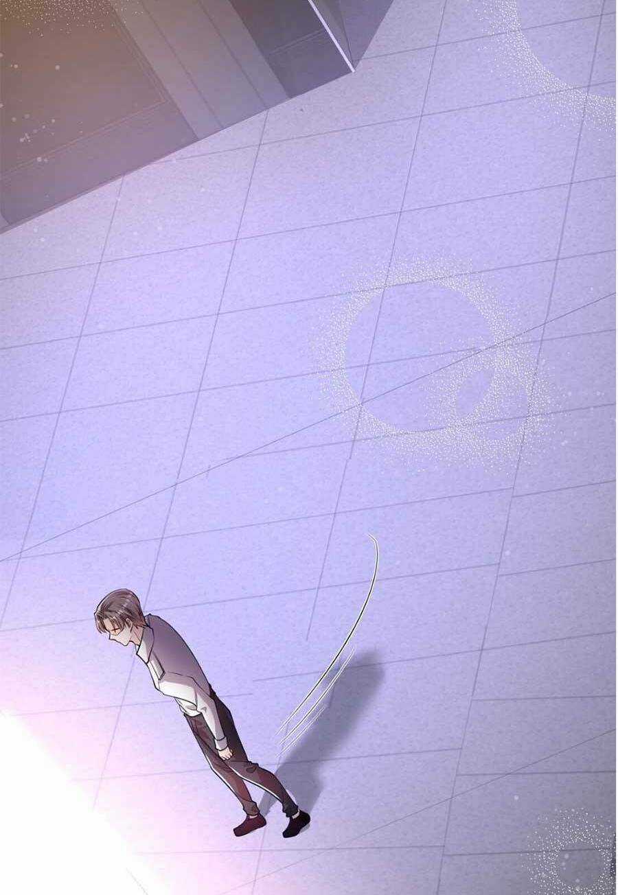 Vợ Tôi Là Boss Ngầm Đầy Quyền Lực Chapter 12 trang 24