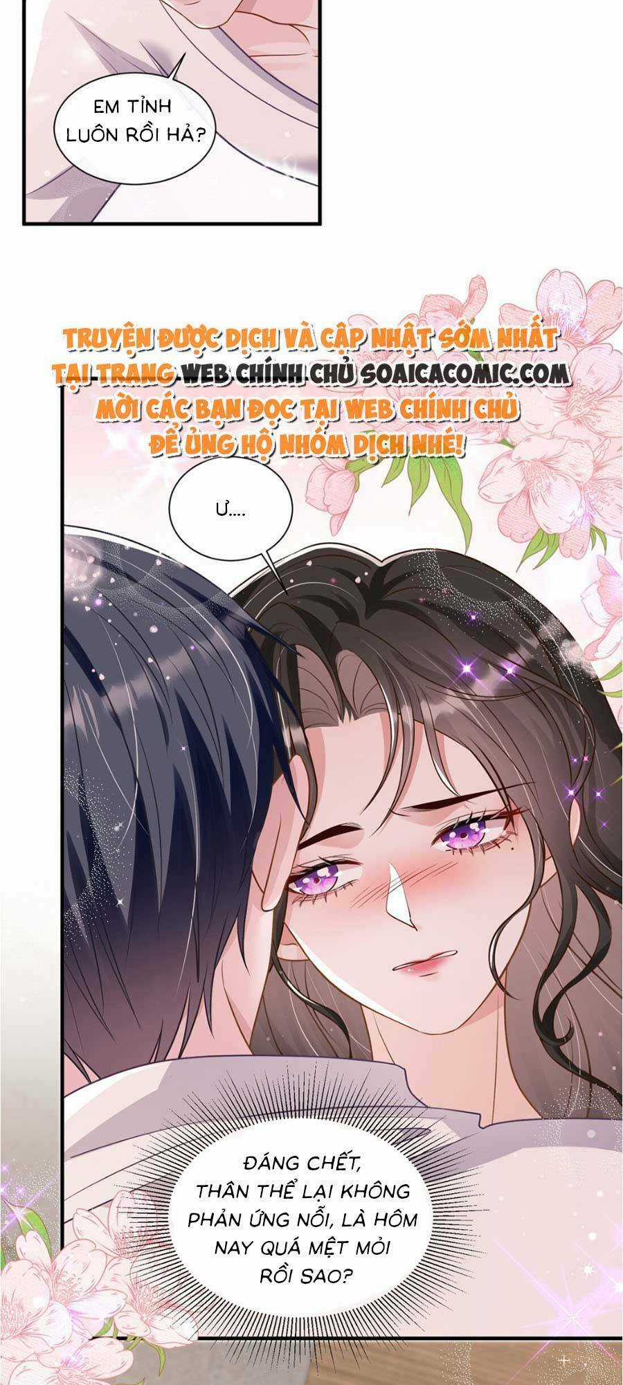 Vợ Tôi Là Boss Ngầm Đầy Quyền Lực Chapter 13 trang 15