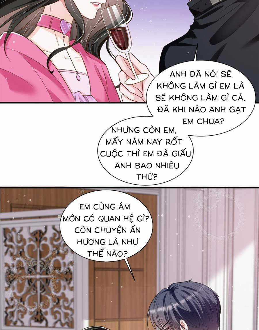 Vợ Tôi Là Boss Ngầm Đầy Quyền Lực Chapter 13 trang 3