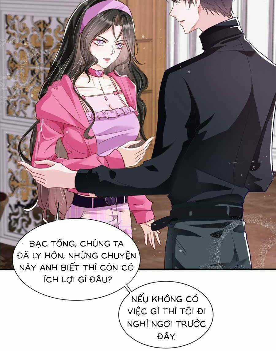 Vợ Tôi Là Boss Ngầm Đầy Quyền Lực Chapter 13 trang 4