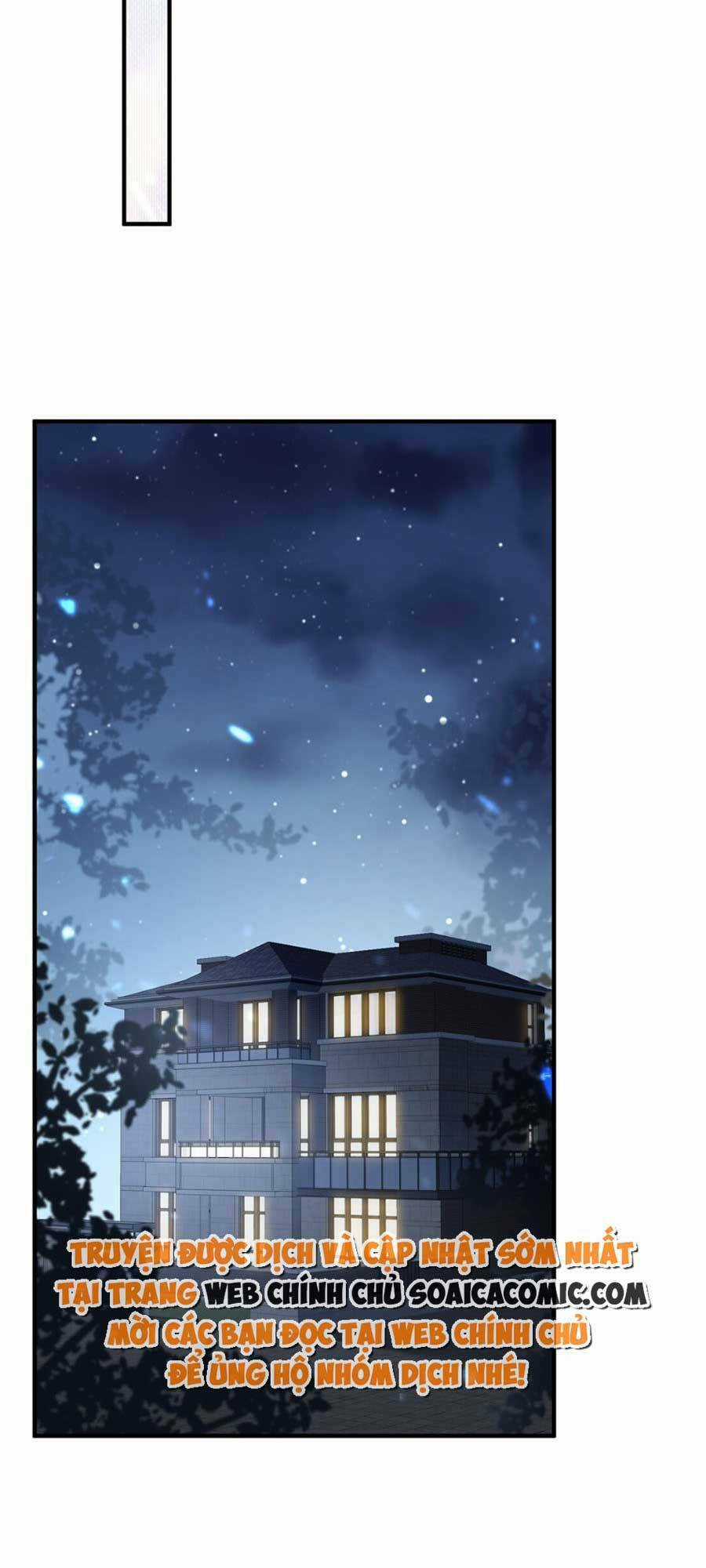 Vợ Tôi Là Boss Ngầm Đầy Quyền Lực Chapter 14 trang 10