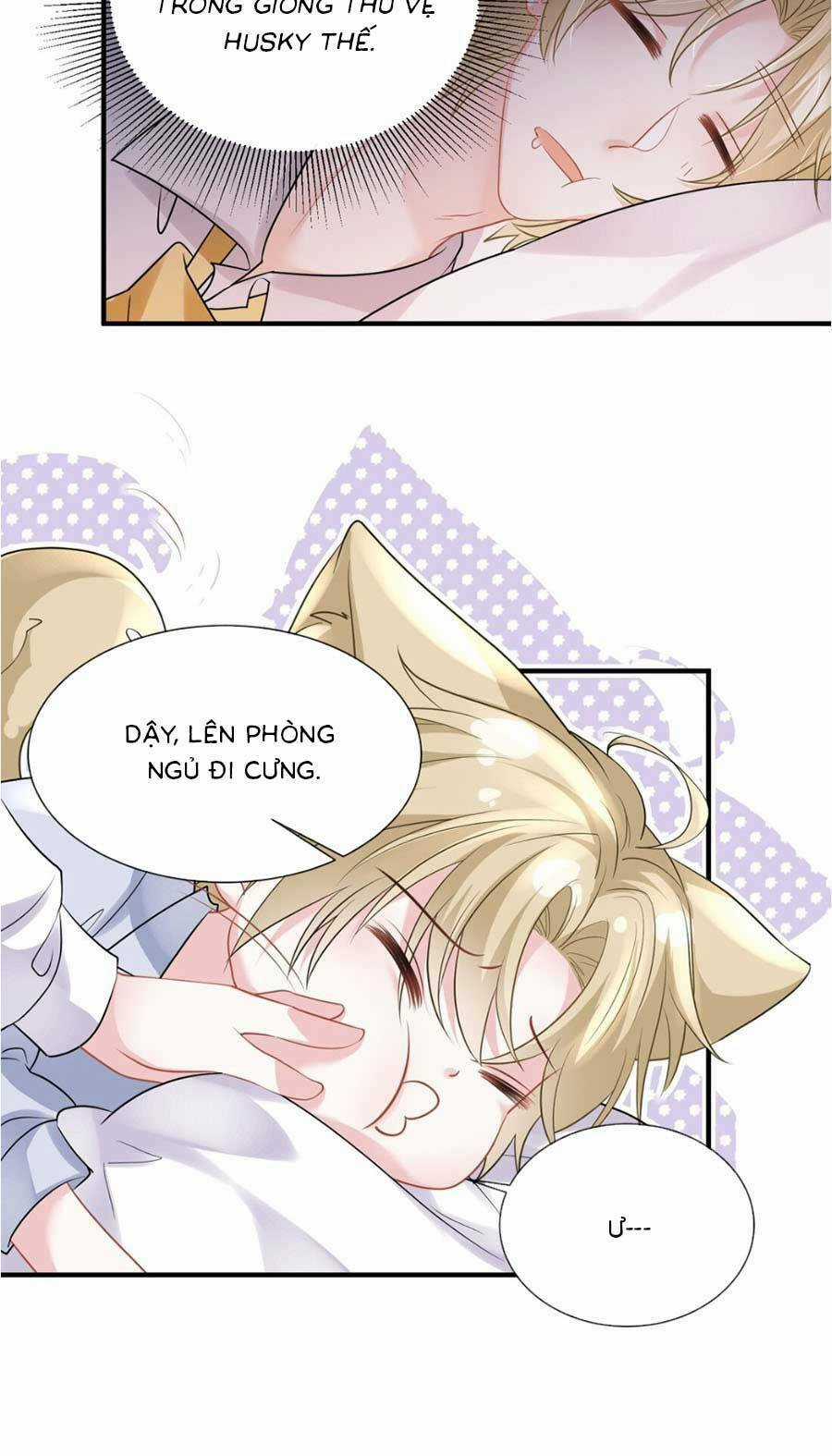 Vợ Tôi Là Boss Ngầm Đầy Quyền Lực Chapter 14 trang 17