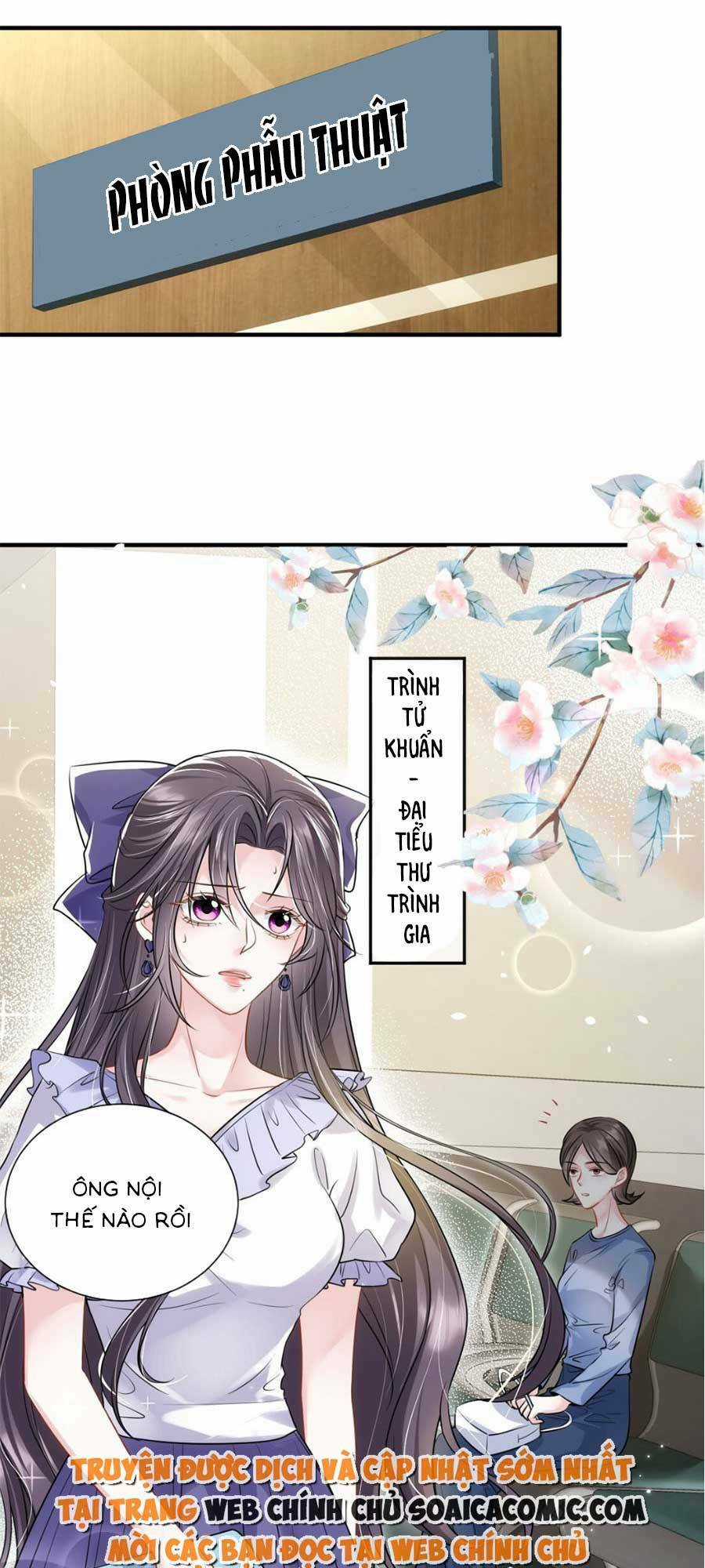 Vợ Tôi Là Boss Ngầm Đầy Quyền Lực Chapter 15 trang 21