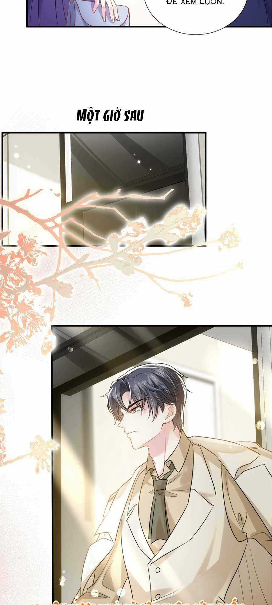 Vợ Tôi Là Boss Ngầm Đầy Quyền Lực Chapter 15 trang 23