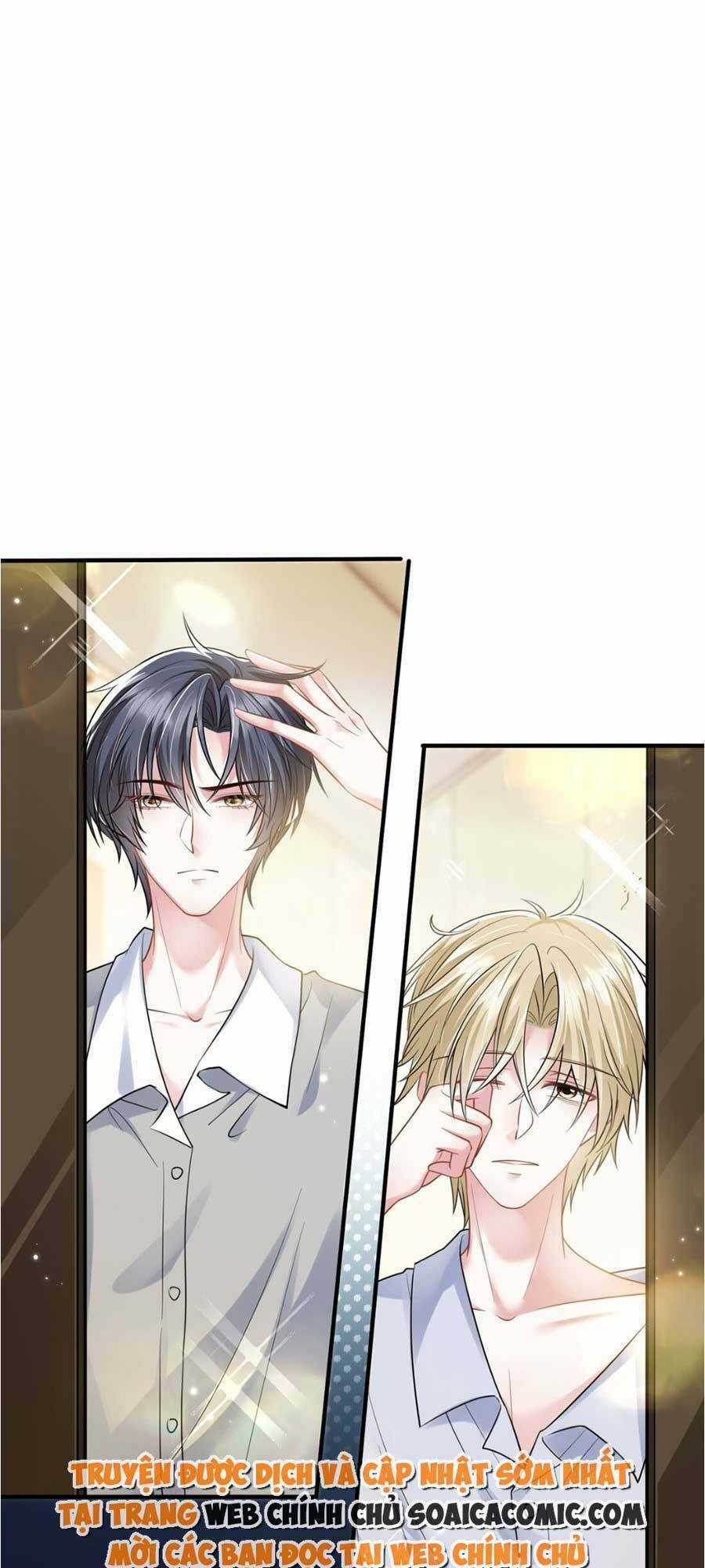 Vợ Tôi Là Boss Ngầm Đầy Quyền Lực Chapter 15 trang 5