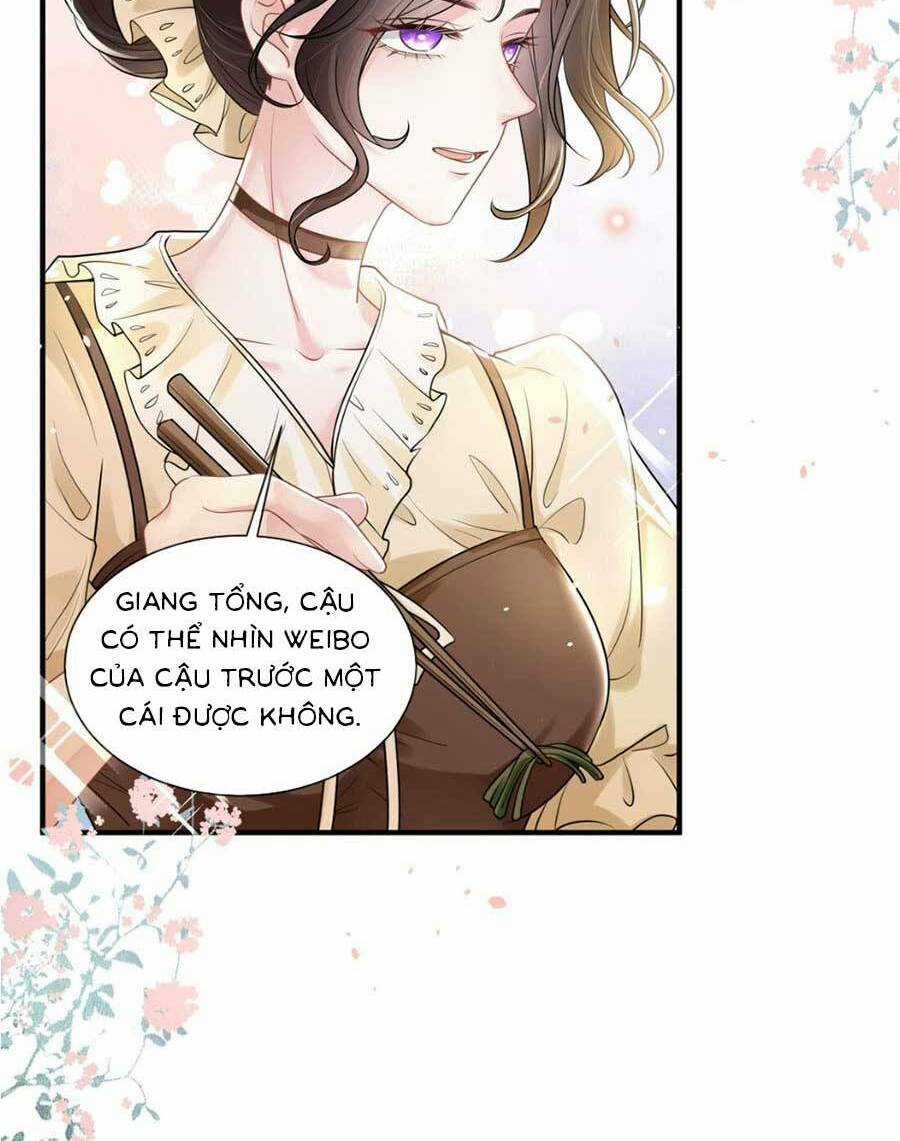 Vợ Tôi Là Boss Ngầm Đầy Quyền Lực Chapter 15 trang 9