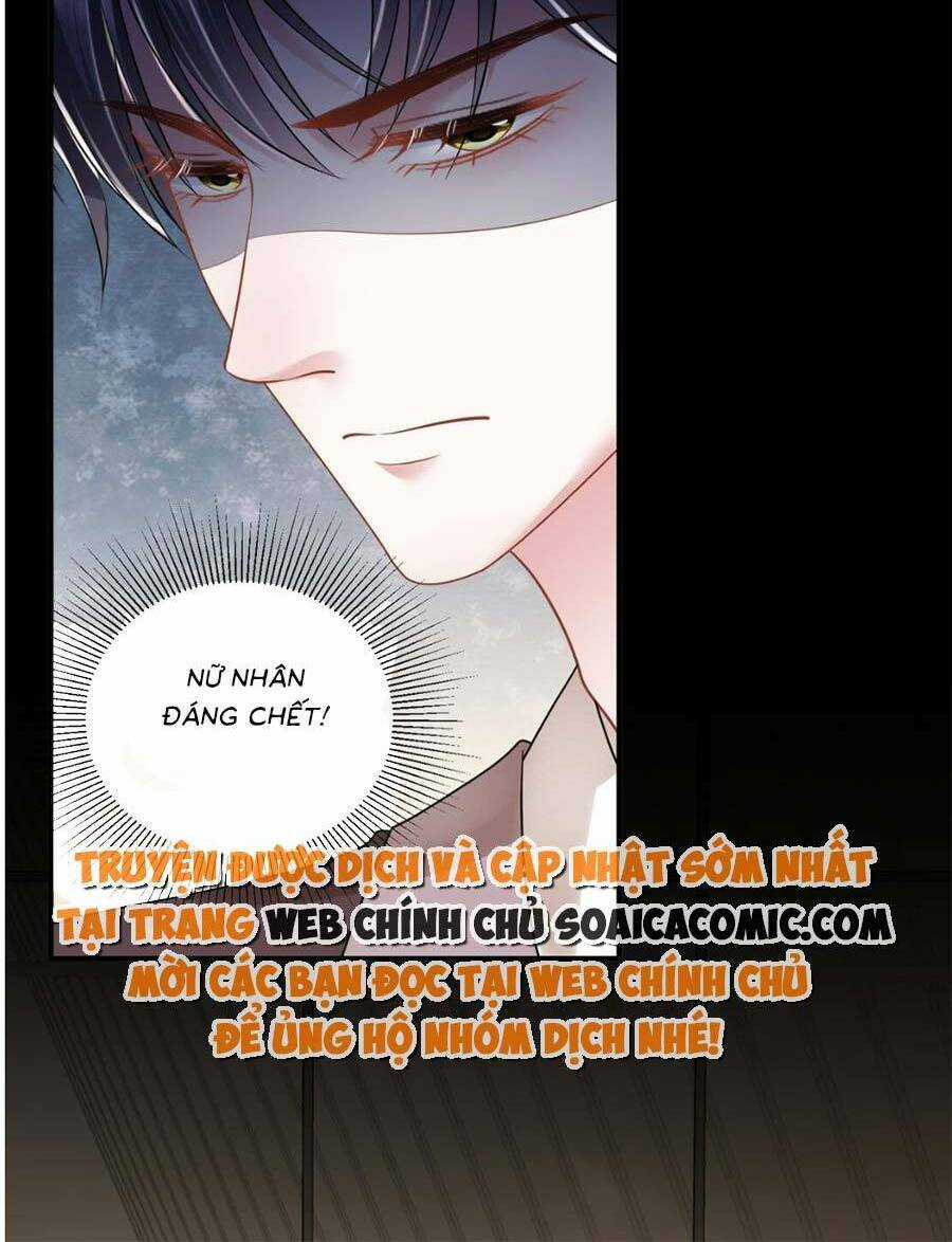 Vợ Tôi Là Boss Ngầm Đầy Quyền Lực Chapter 16 trang 14
