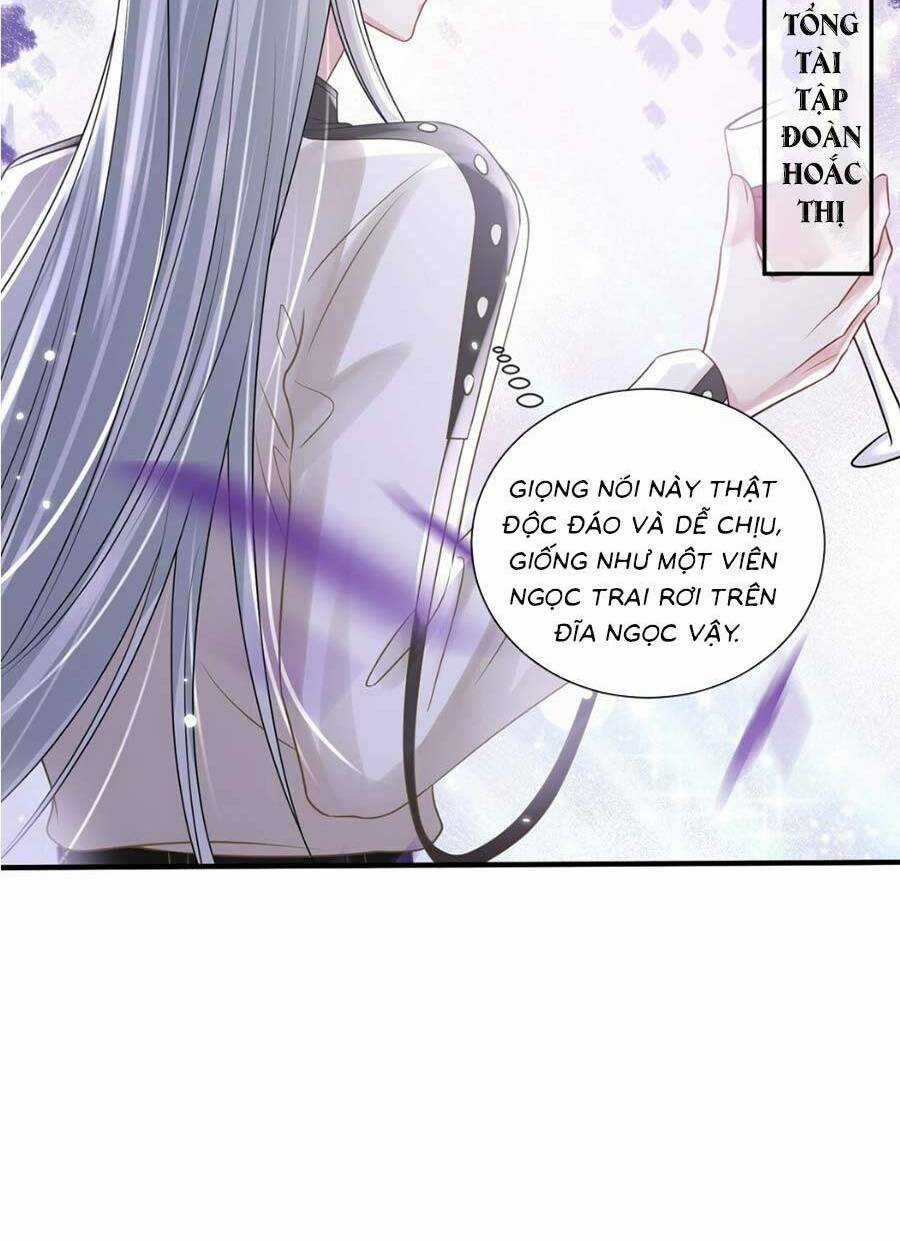 Vợ Tôi Là Boss Ngầm Đầy Quyền Lực Chapter 16 trang 19