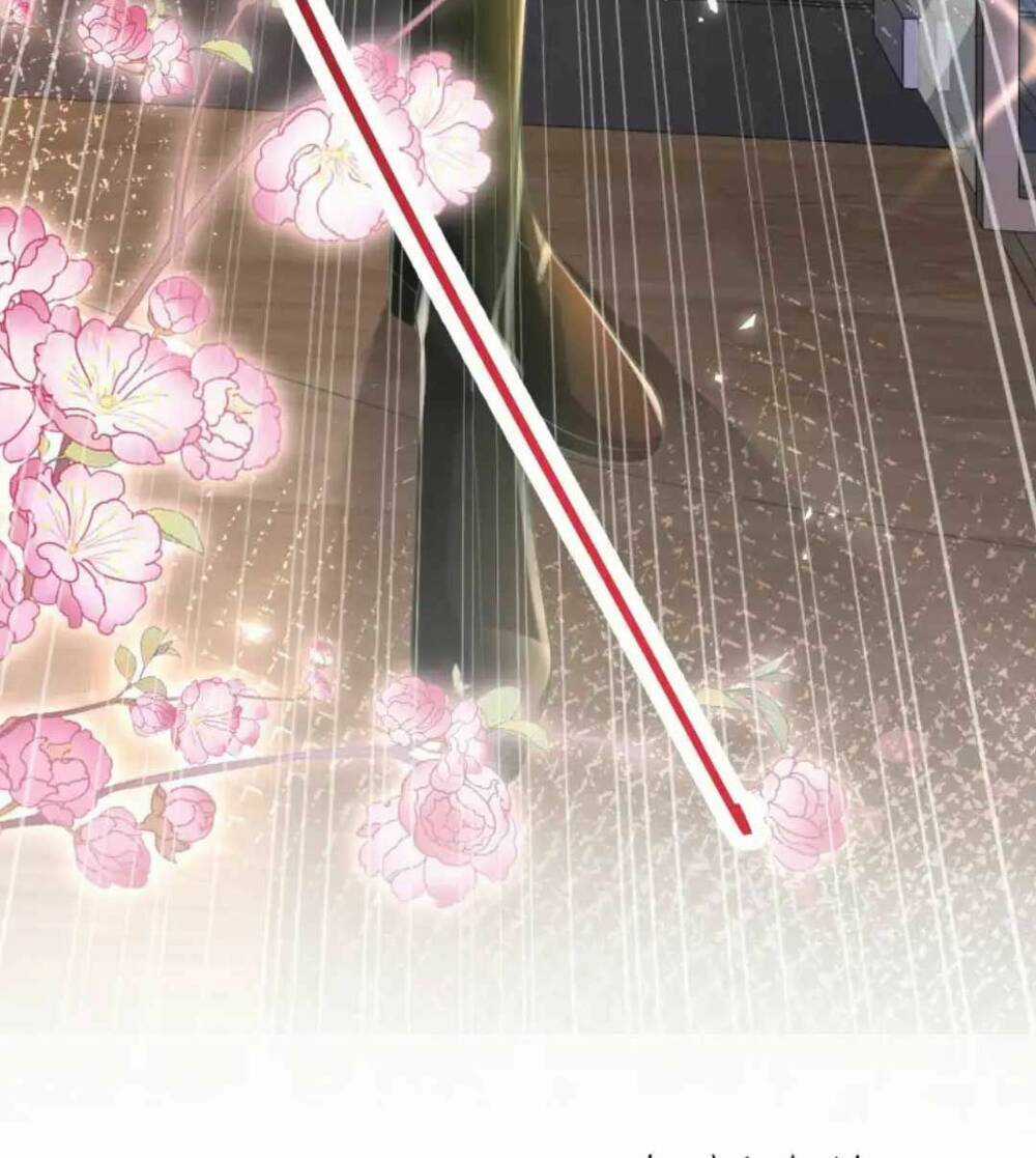 Vợ Tôi Là Boss Ngầm Đầy Quyền Lực Chapter 20 trang 36