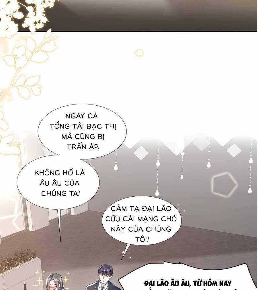 Vợ Tôi Là Boss Ngầm Đầy Quyền Lực Chapter 25 trang 3