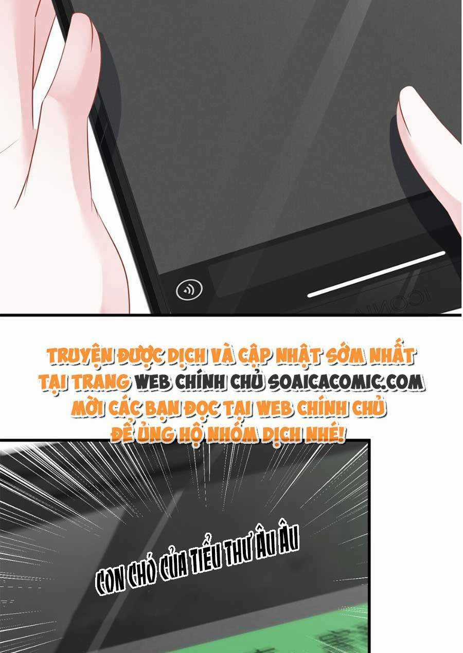 Vợ Tôi Là Boss Ngầm Đầy Quyền Lực Chapter 26 trang 6