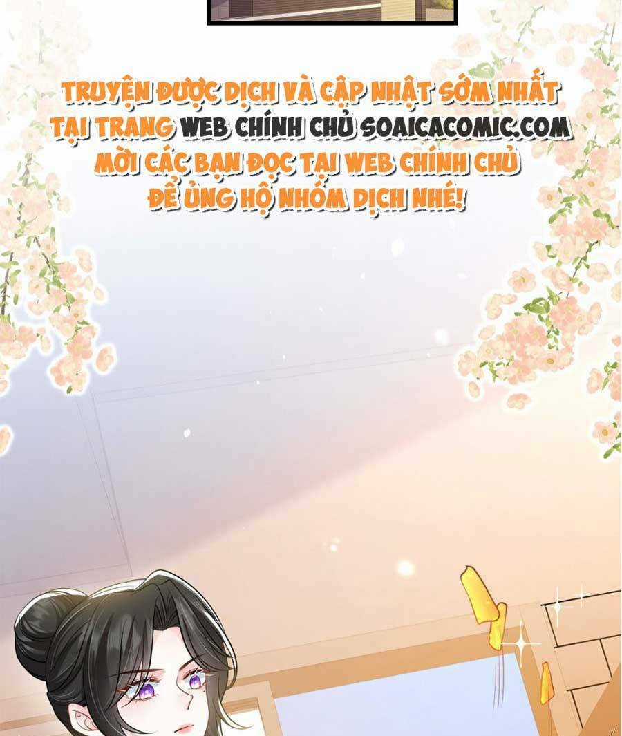 Vợ Tôi Là Boss Ngầm Đầy Quyền Lực Chapter 28 trang 13