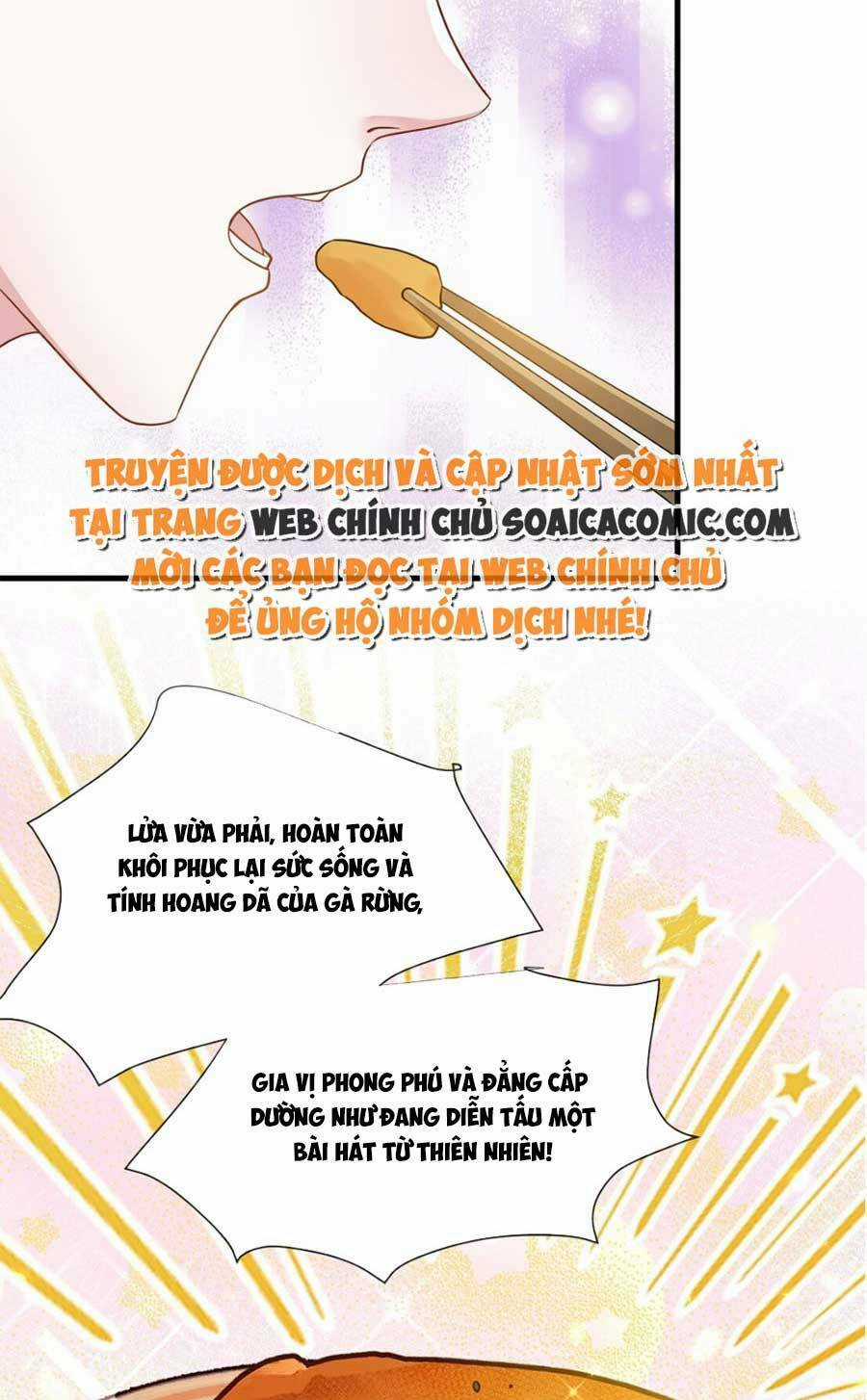 Vợ Tôi Là Boss Ngầm Đầy Quyền Lực Chapter 28 trang 25