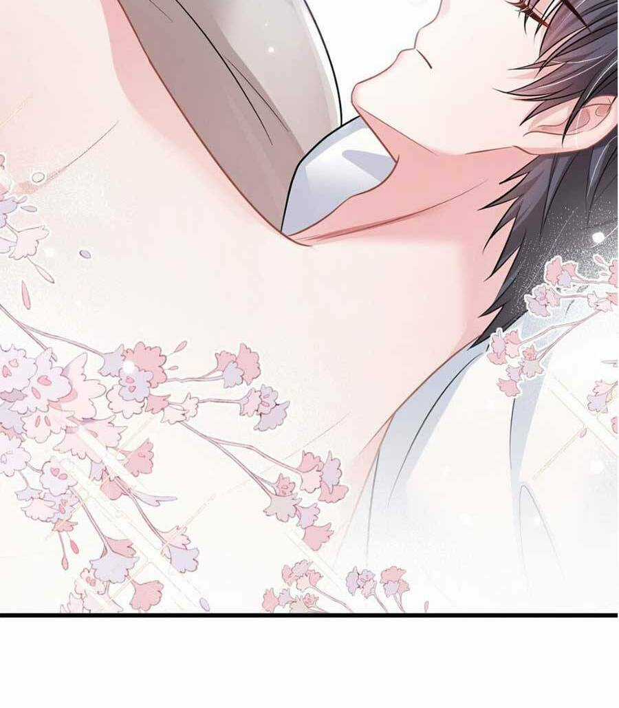 Vợ Tôi Là Boss Ngầm Đầy Quyền Lực Chapter 29 trang 11