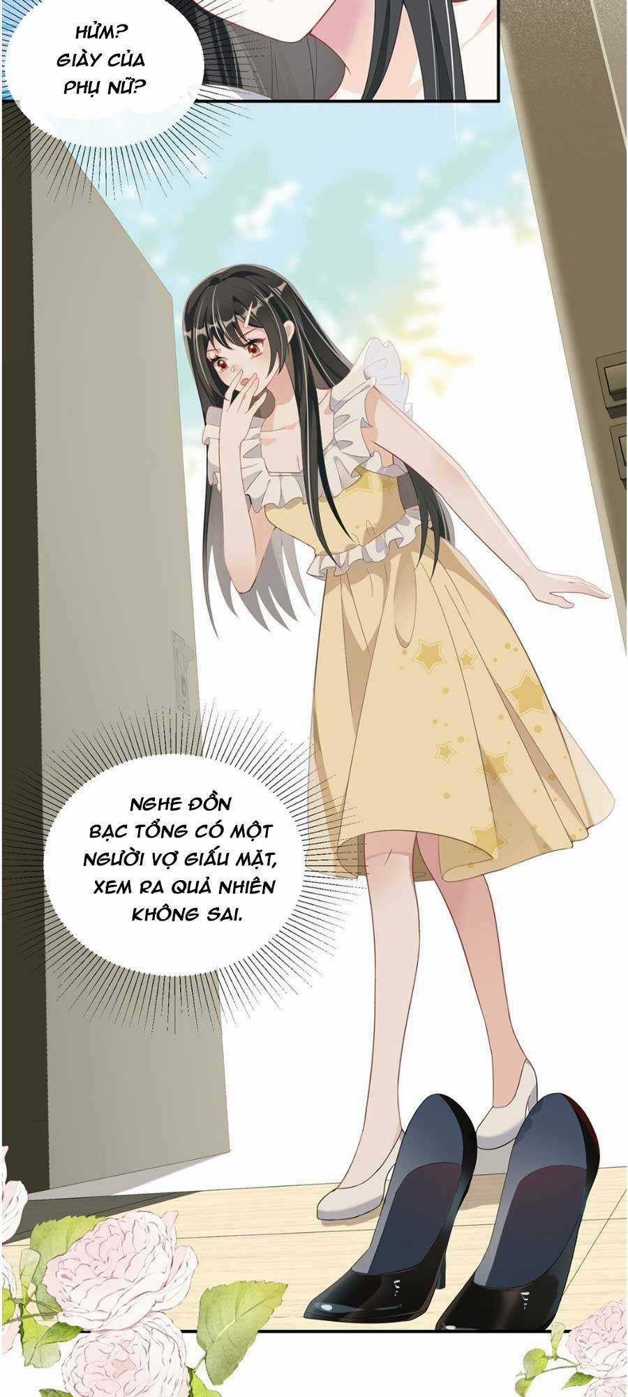 Vợ Tôi Là Boss Ngầm Đầy Quyền Lực Chapter 3 trang 17