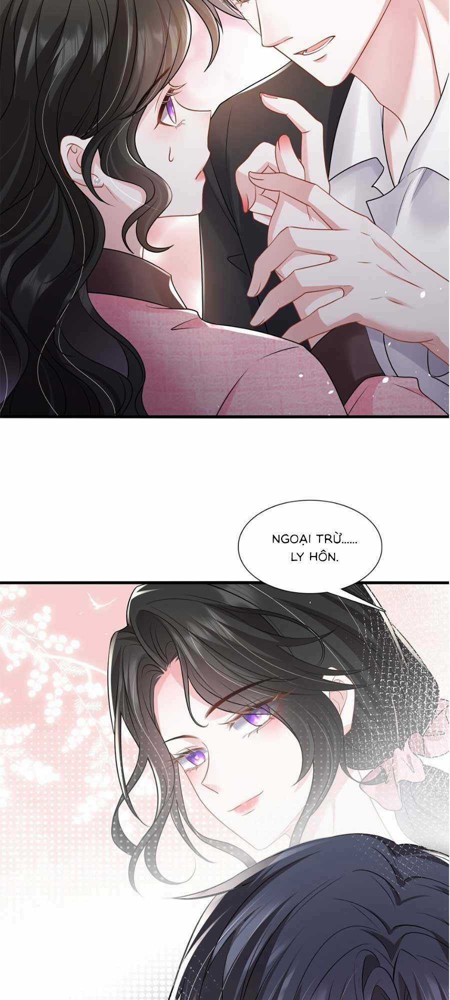 Vợ Tôi Là Boss Ngầm Đầy Quyền Lực Chapter 31 trang 12