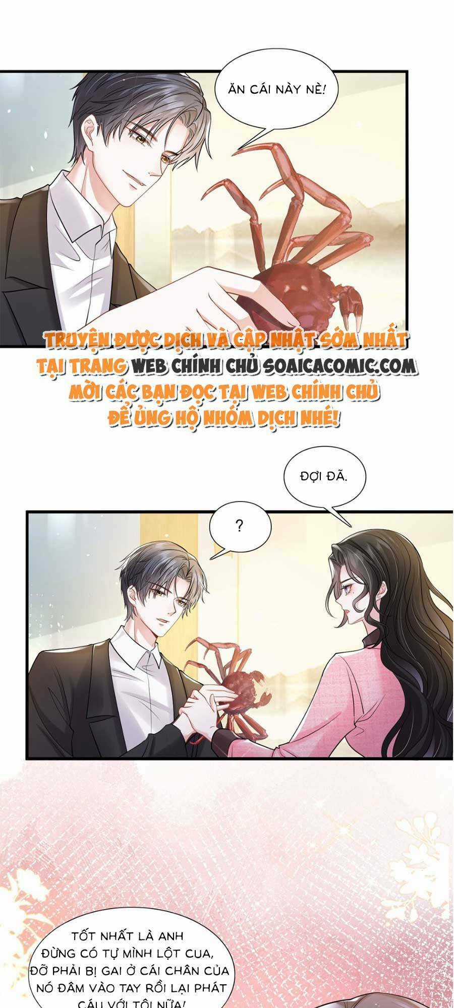 Vợ Tôi Là Boss Ngầm Đầy Quyền Lực Chapter 31 trang 8