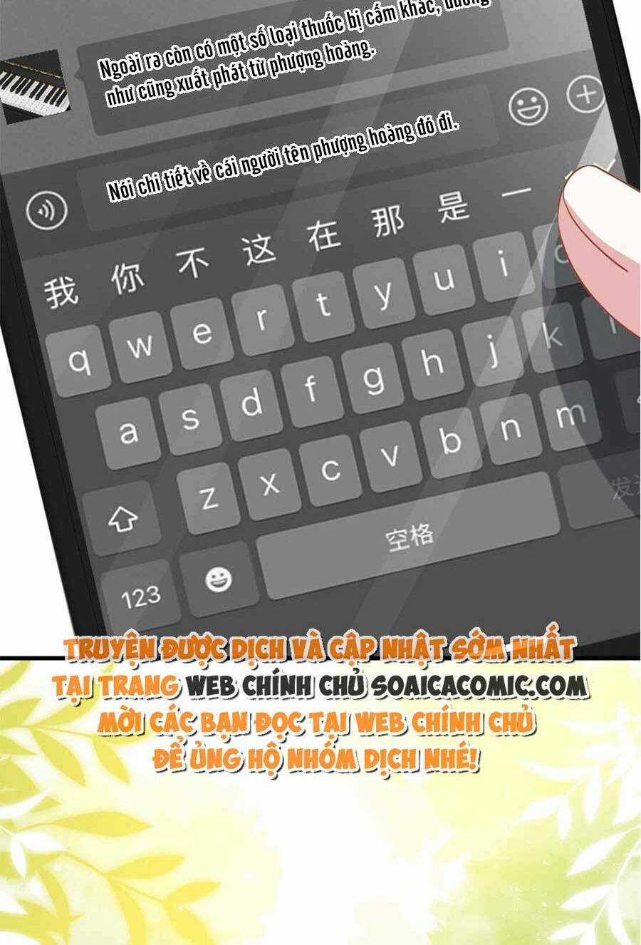 Vợ Tôi Là Boss Ngầm Đầy Quyền Lực Chapter 33 trang 10