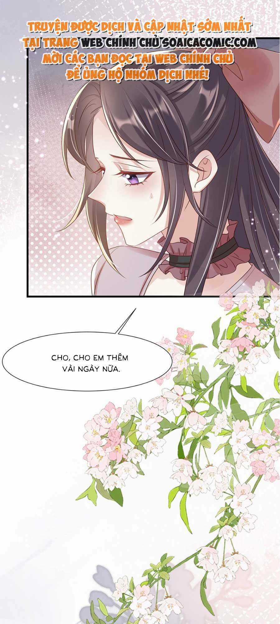 Vợ Tôi Là Boss Ngầm Đầy Quyền Lực Chapter 33 trang 26