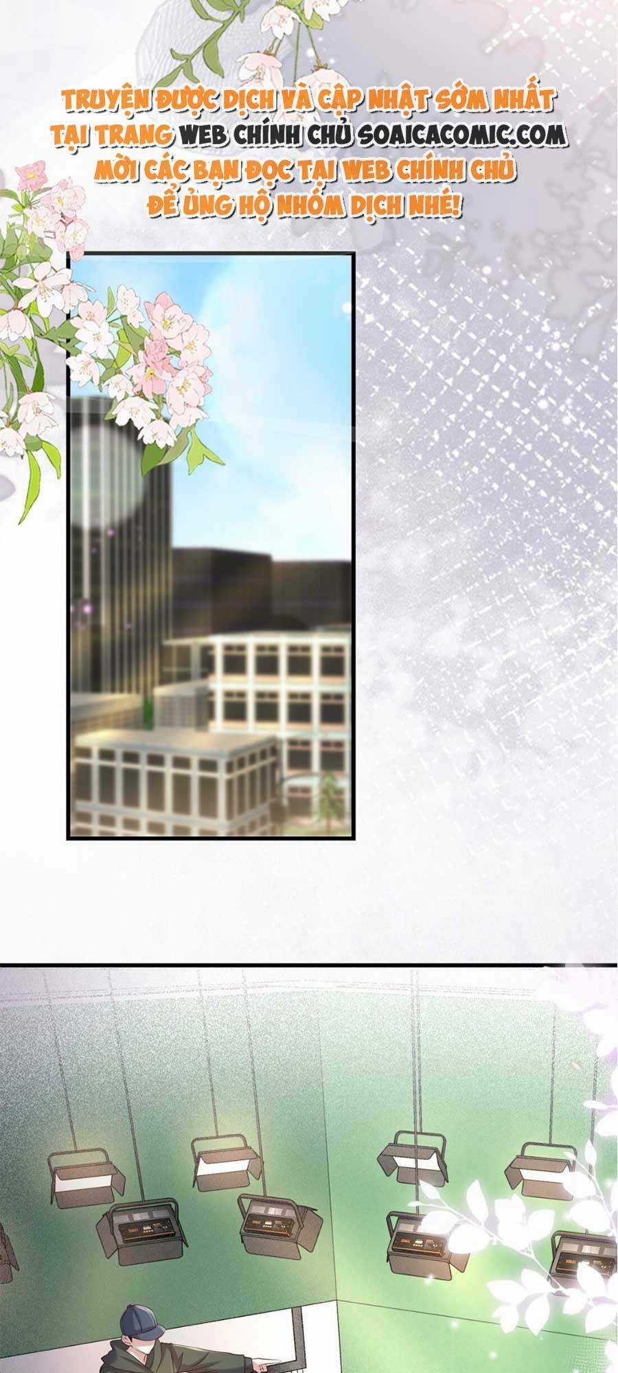 Vợ Tôi Là Boss Ngầm Đầy Quyền Lực Chapter 33 trang 27