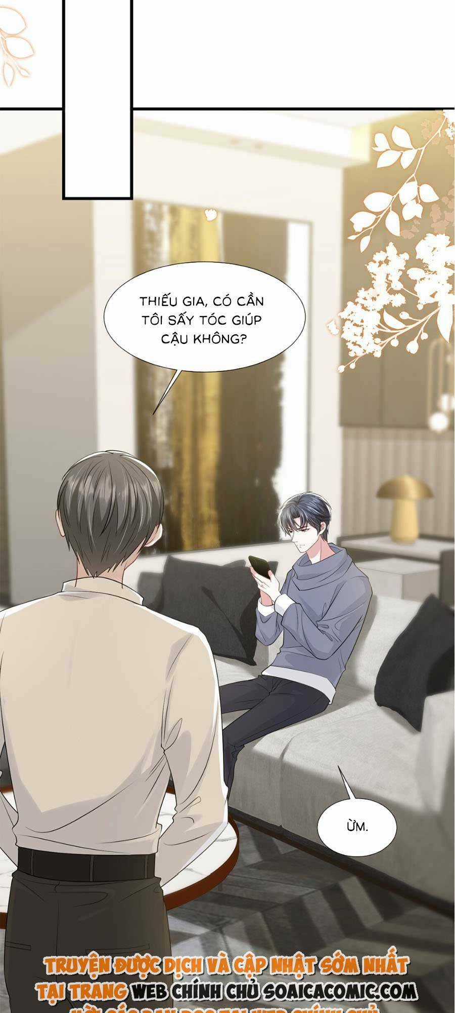 Vợ Tôi Là Boss Ngầm Đầy Quyền Lực Chapter 33 trang 3