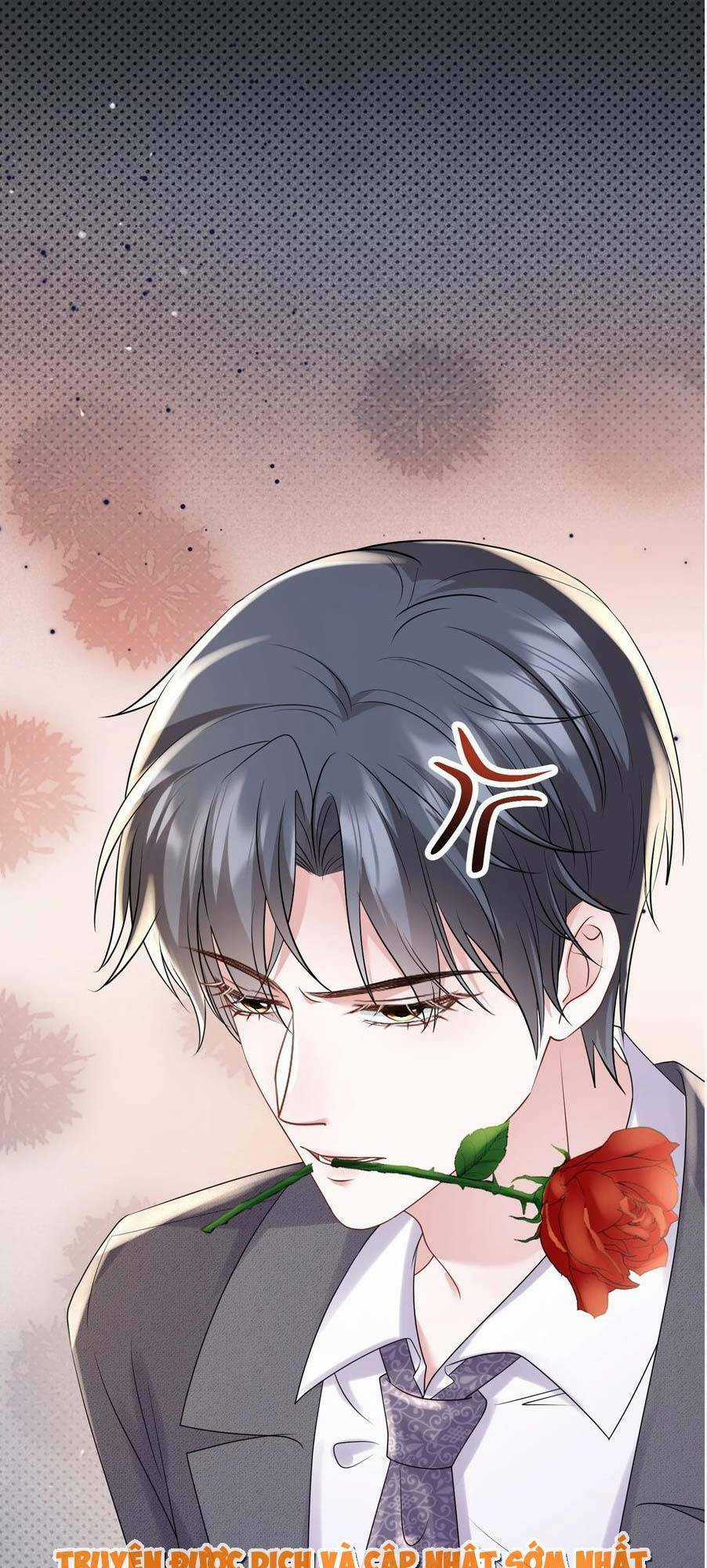 Vợ Tôi Là Boss Ngầm Đầy Quyền Lực Chapter 35 trang 28