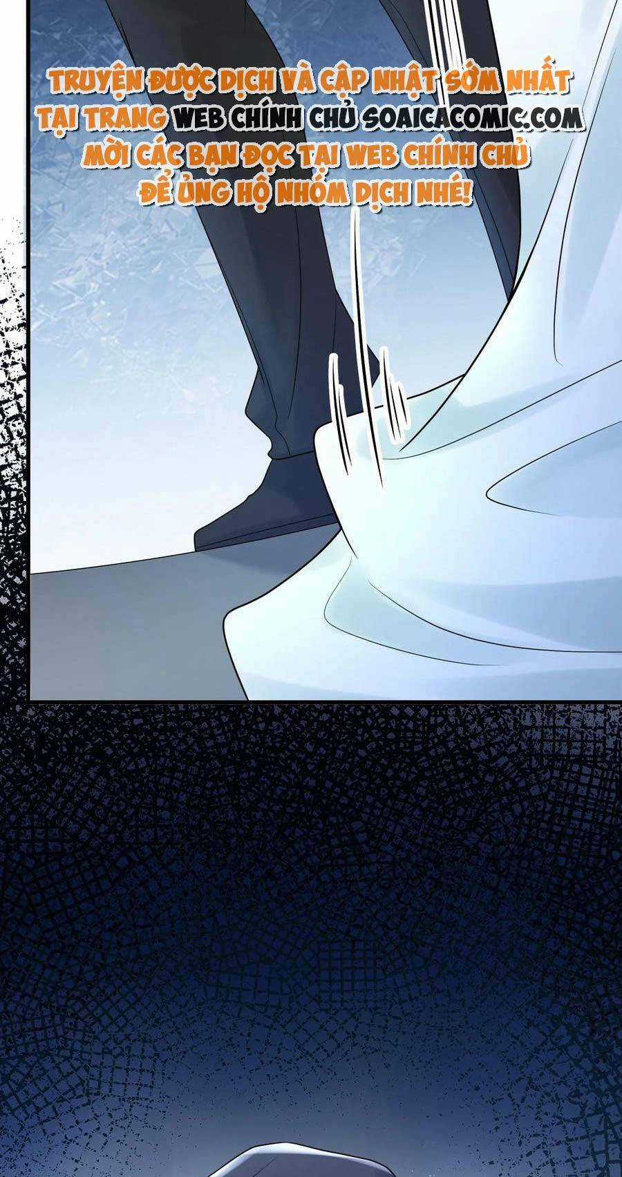 Vợ Tôi Là Boss Ngầm Đầy Quyền Lực Chapter 36 trang 14