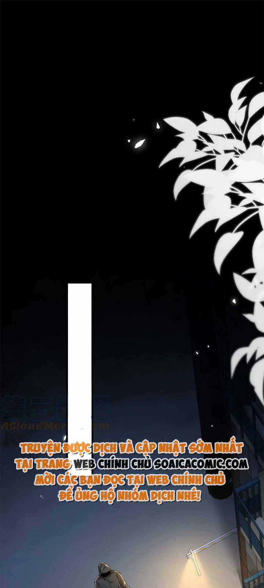 Vợ Tôi Là Boss Ngầm Đầy Quyền Lực Chapter 36 trang 16