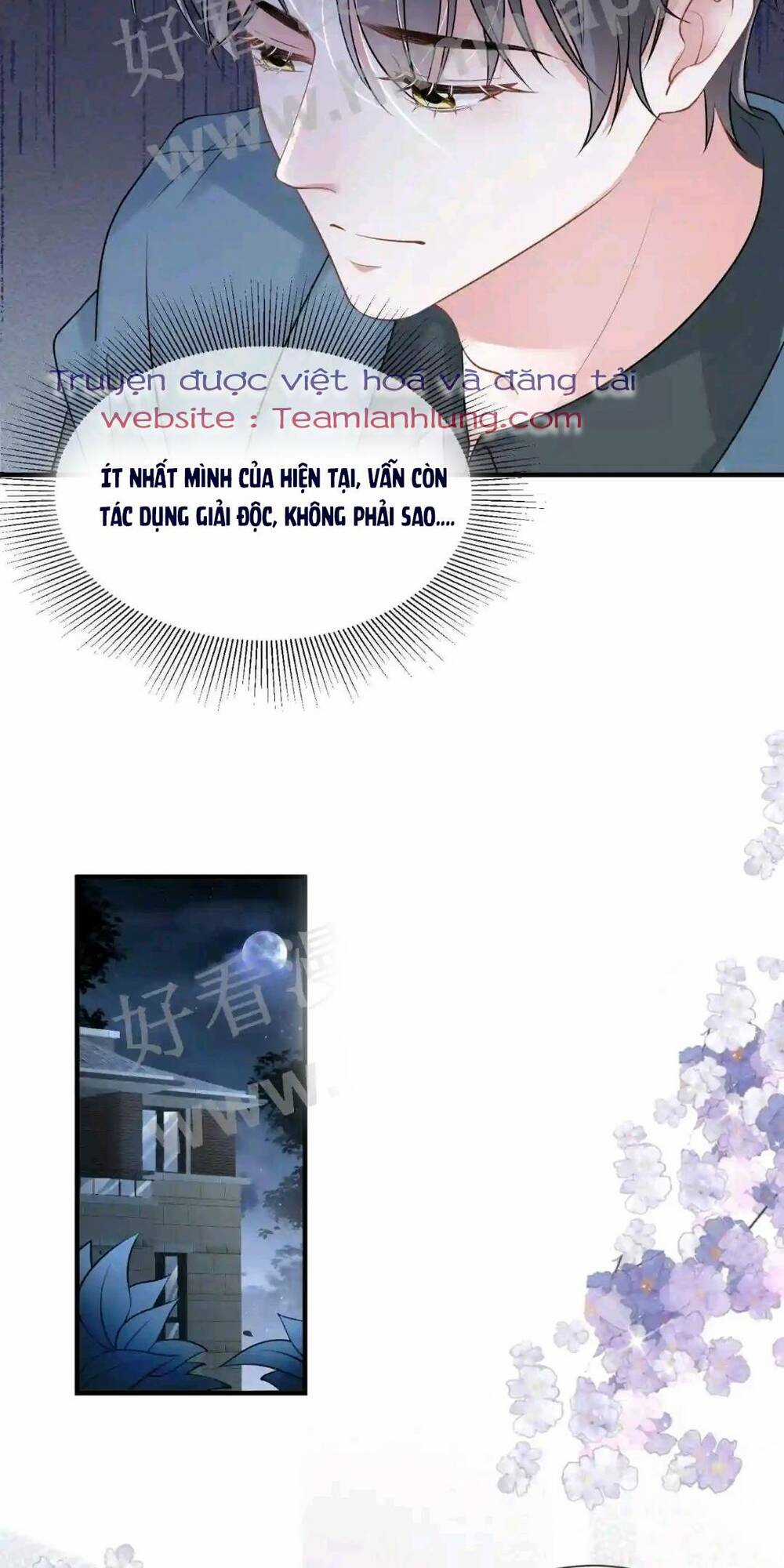 Vợ Tôi Là Boss Ngầm Đầy Quyền Lực Chapter 39 trang 24