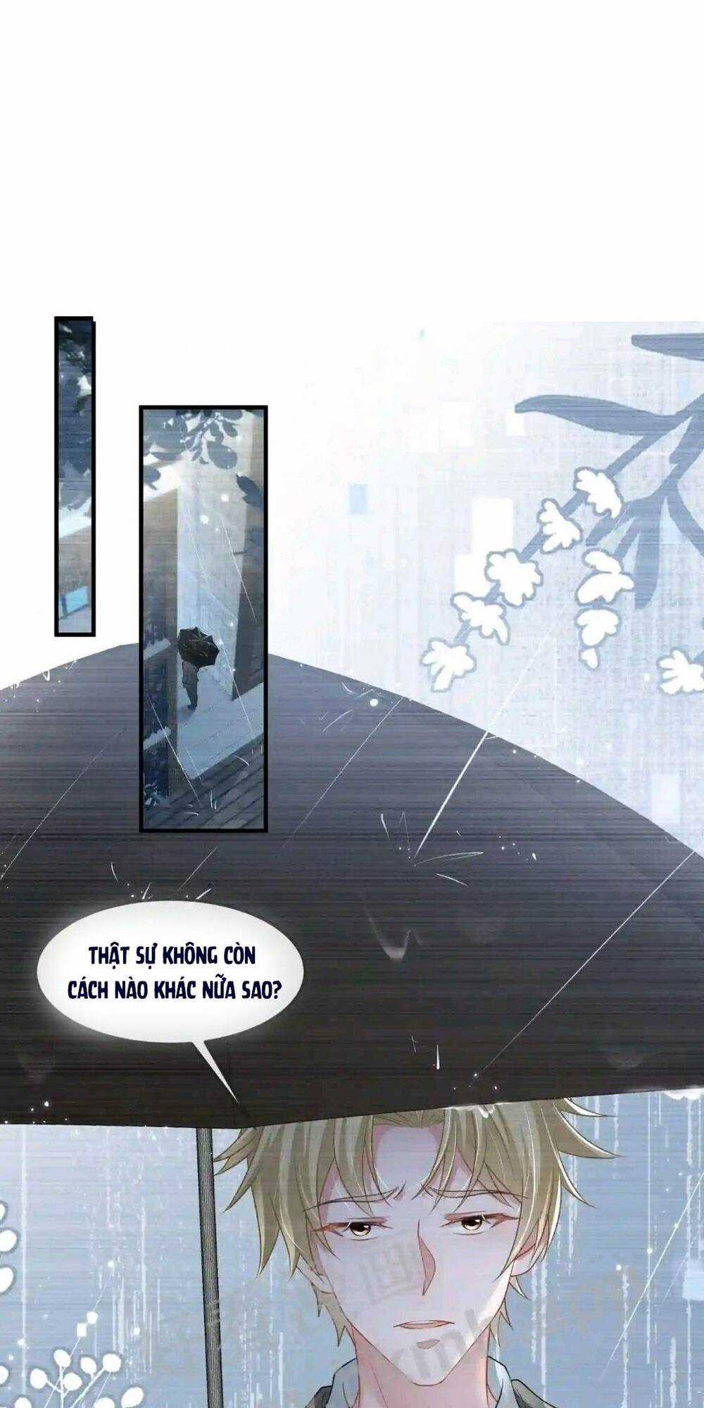 Vợ Tôi Là Boss Ngầm Đầy Quyền Lực Chapter 39 trang 8