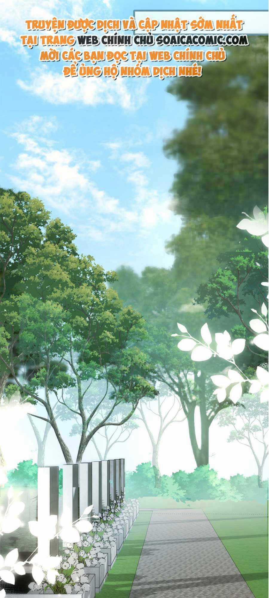 Vợ Tôi Là Boss Ngầm Đầy Quyền Lực Chapter 4 trang 25